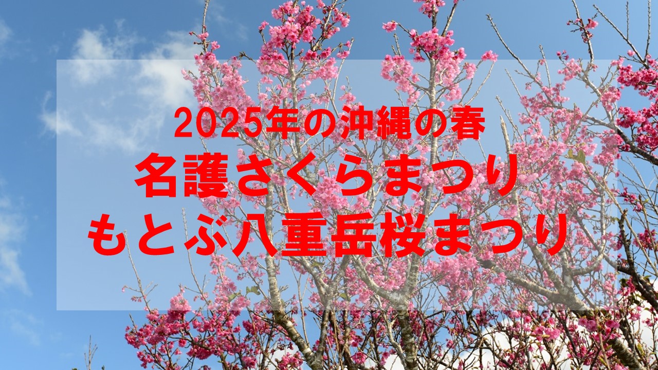 2025名護さくらまつり