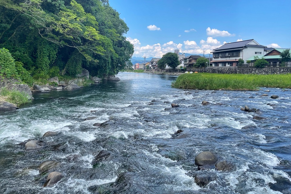 名水で健康！ウォーターエナジーの「日田天領水」ウォーターサーバーの魅力