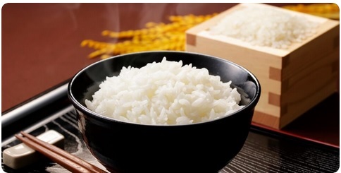 パナソニックの炊飯器サブスクとは？銘柄米と最新ビストロで極上ごはんを楽しむ方法