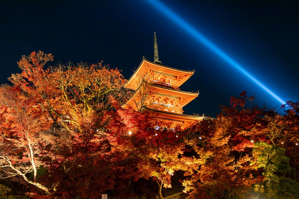 京都紅葉ライトアップ2025:清水寺で幻想的な夜景を楽しむ方法