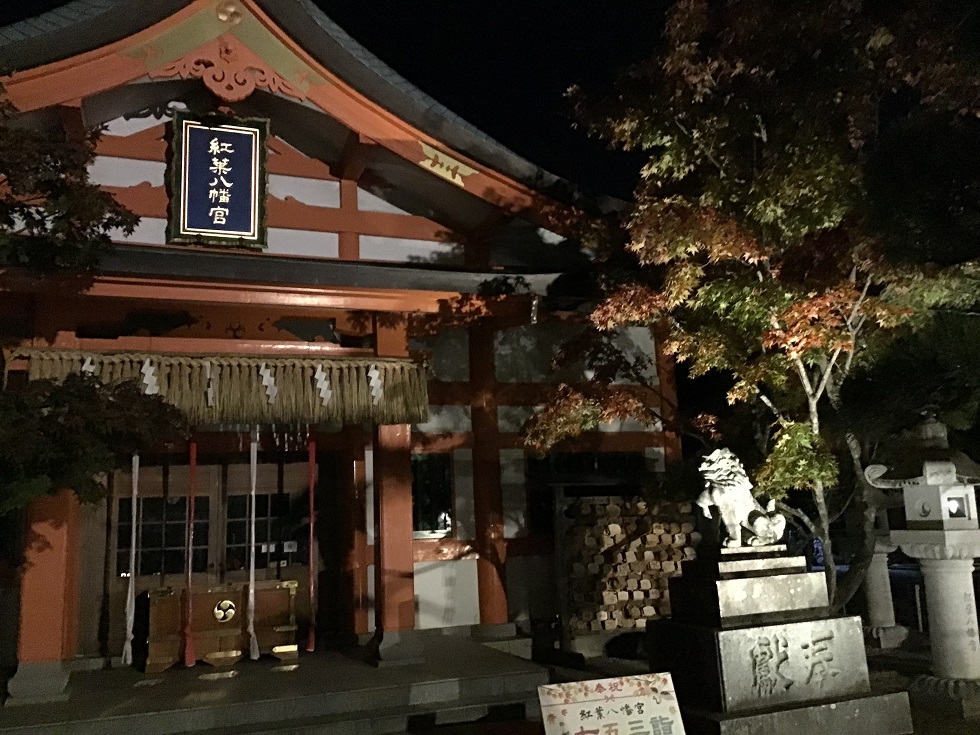 福岡・紅葉八幡宮ライトアップ2025:もみじ祭で楽しむ幻想的な秋夜