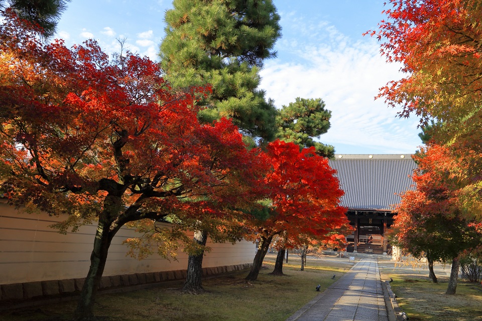 【2025年版】京都紅葉ライトアップおすすめ穴場6選：高台寺・仁和寺・妙顕寺など