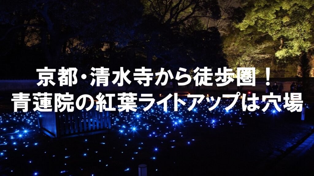 京都・清水寺から徒歩圏!青蓮院の紅葉ライトアップは穴場