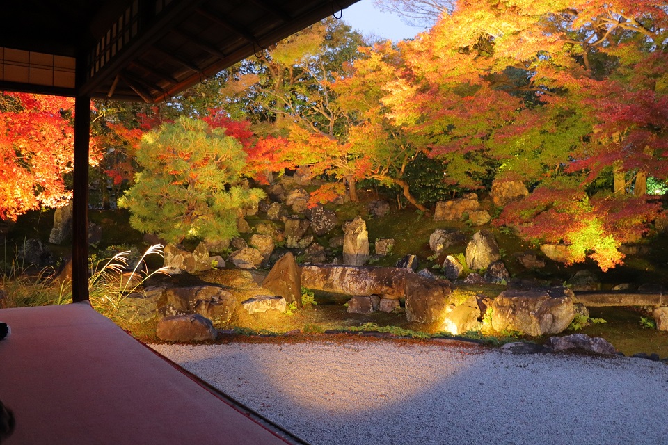 【2025年版】京都紅葉ライトアップおすすめ穴場6選：高台寺・仁和寺・妙顕寺など