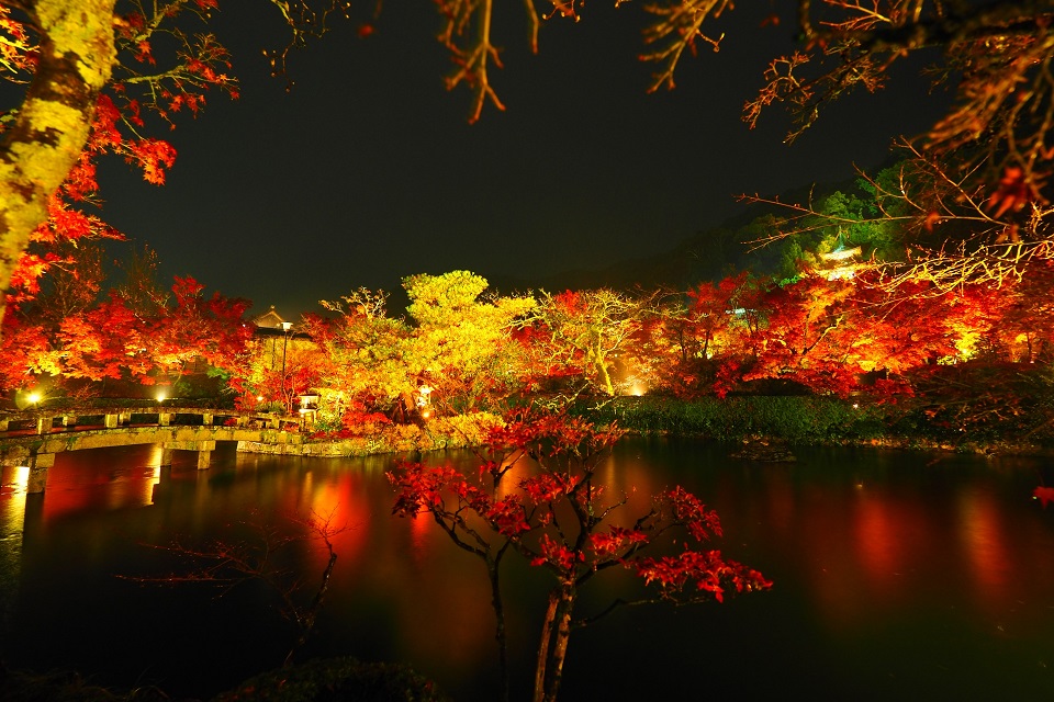 京都紅葉の絶景！永観堂ライトアップ2025の開催期間・時間・見どころまとめ