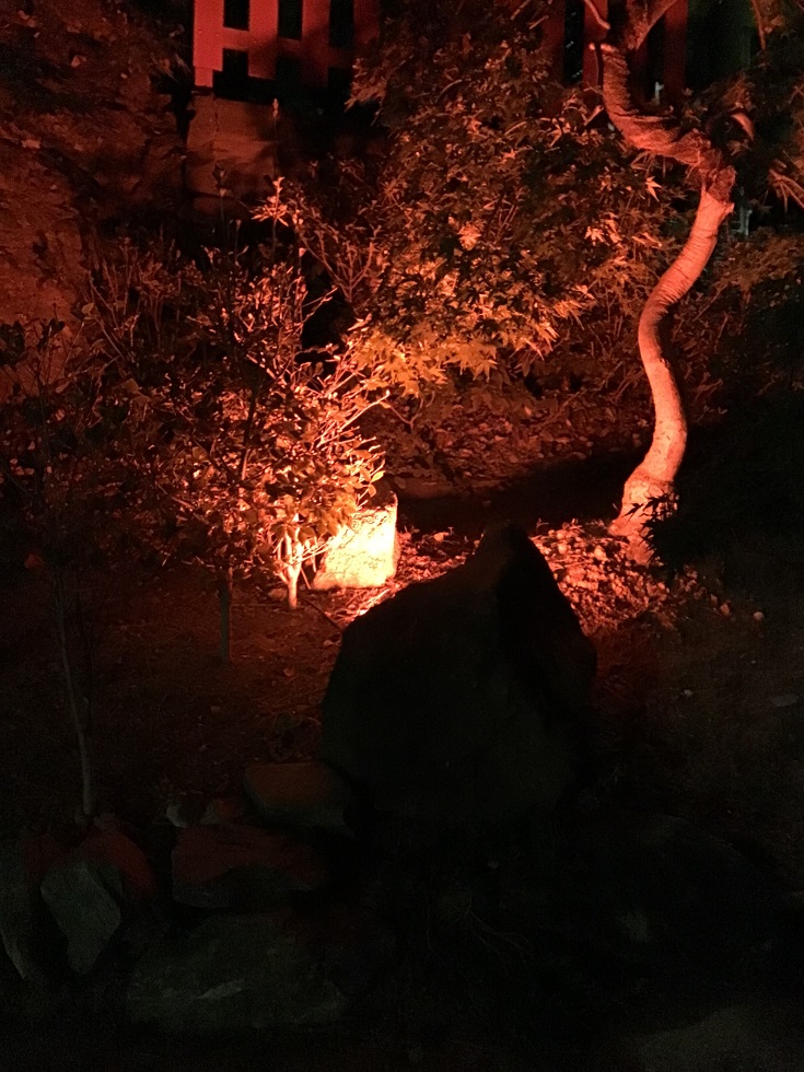 福岡・紅葉八幡宮ライトアップ2025:もみじ祭で楽しむ幻想的な秋夜