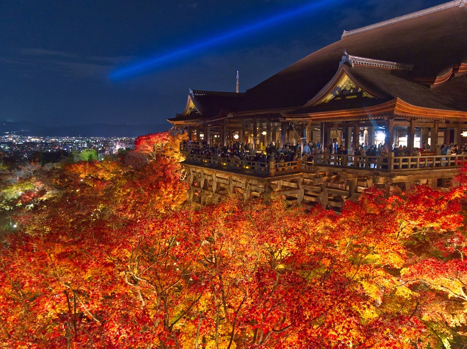 京都紅葉ライトアップ2025:清水寺で幻想的な夜景を楽しむ方法