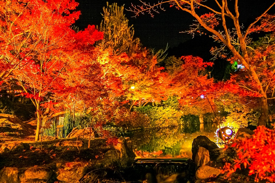 京都紅葉の絶景！永観堂ライトアップ2025の開催期間・時間・見どころまとめ