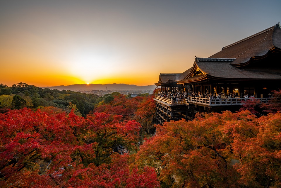 京都紅葉ライトアップ2025:清水寺で幻想的な夜景を楽しむ方法
