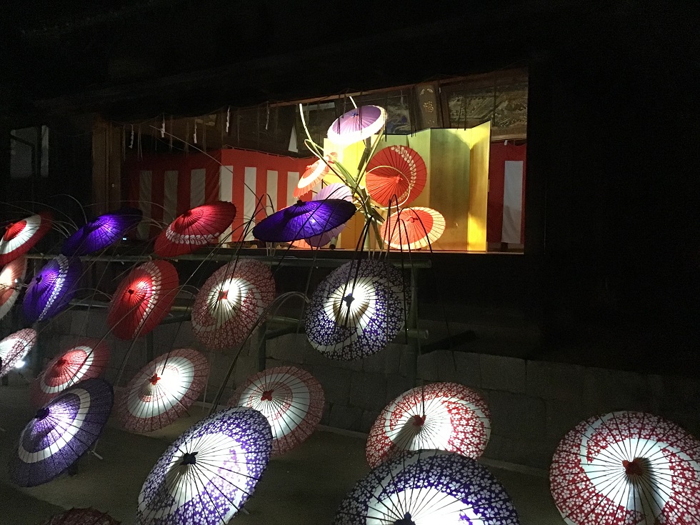 福岡・紅葉八幡宮ライトアップ2025:もみじ祭で楽しむ幻想的な秋夜