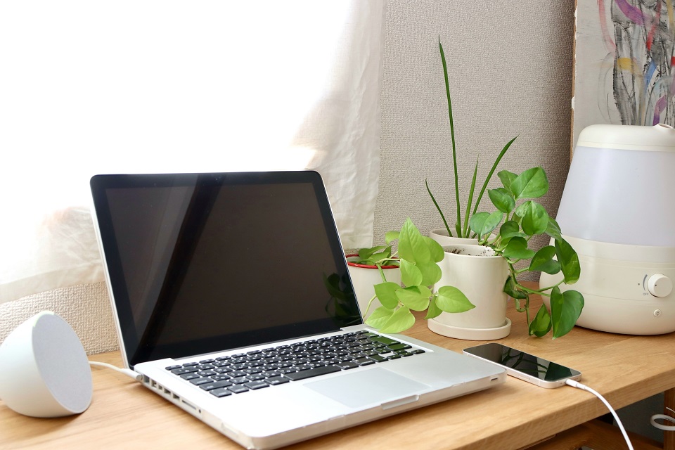 ABLENETレンタルサーバー：無料サブドメイン＆長期契約で最大50％OFF！