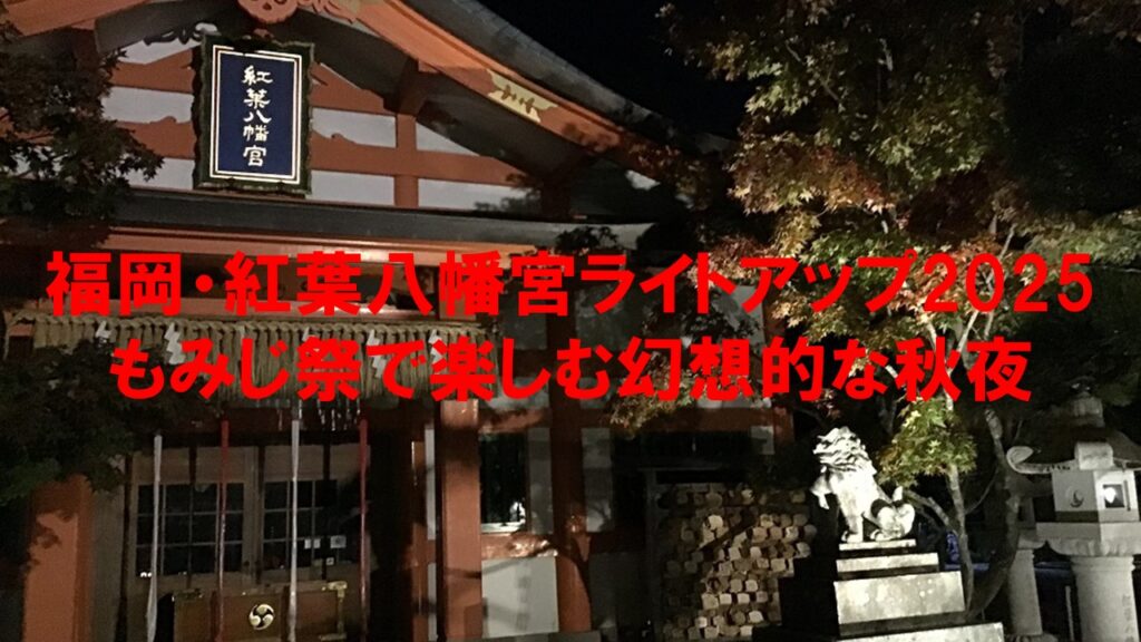 福岡・紅葉八幡宮ライトアップ2025:もみじ祭で楽しむ幻想的な秋夜