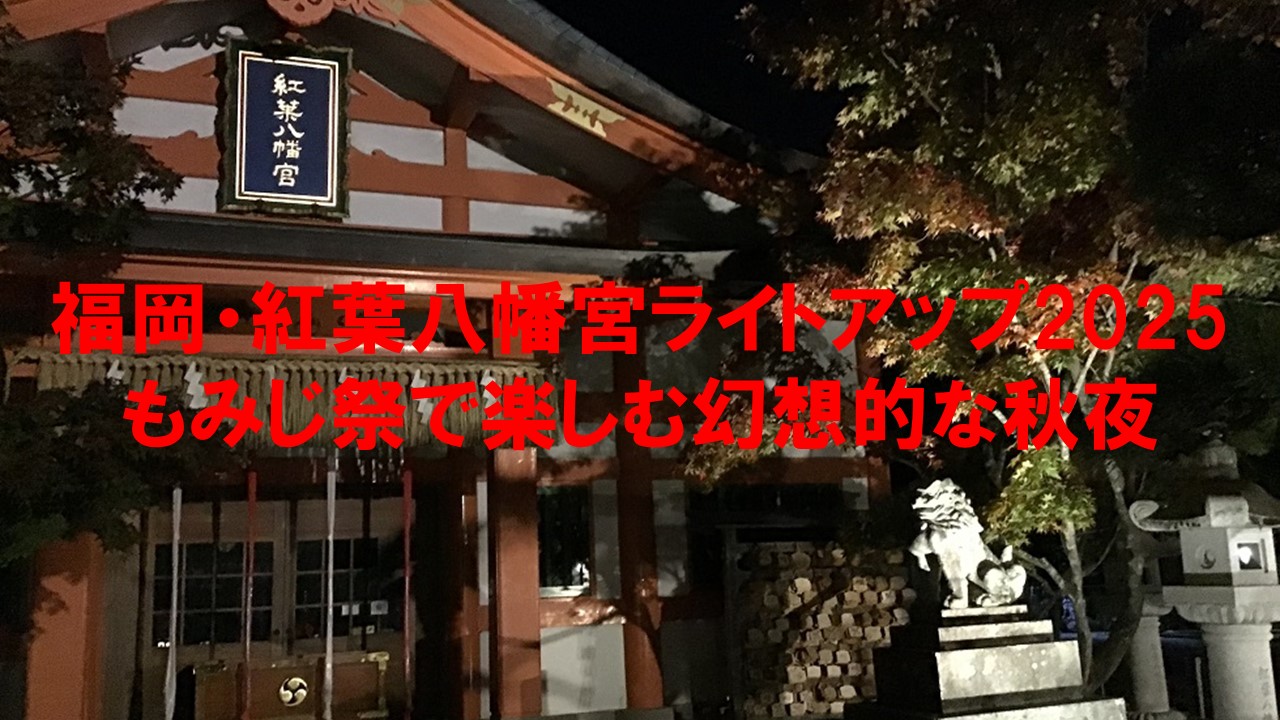 福岡・紅葉八幡宮ライトアップ2025：もみじ祭で楽しむ幻想的な秋夜