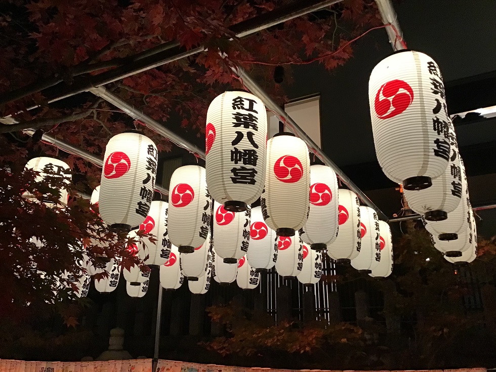 福岡・紅葉八幡宮ライトアップ2025:もみじ祭で楽しむ幻想的な秋夜