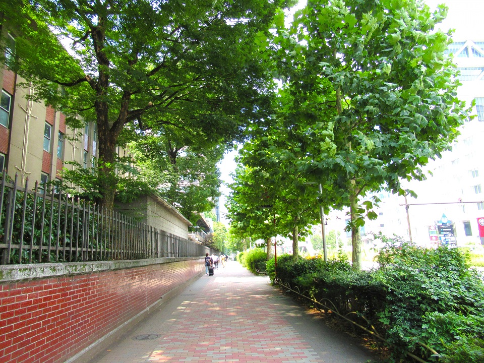 【箱根駅伝2026】誰が5区?青山学院大学の区間エントリー徹底予想