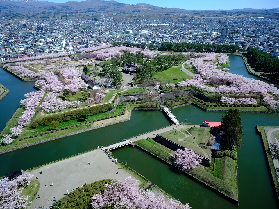 函館五稜郭の星形全景と函館マラソン2026のイメージ