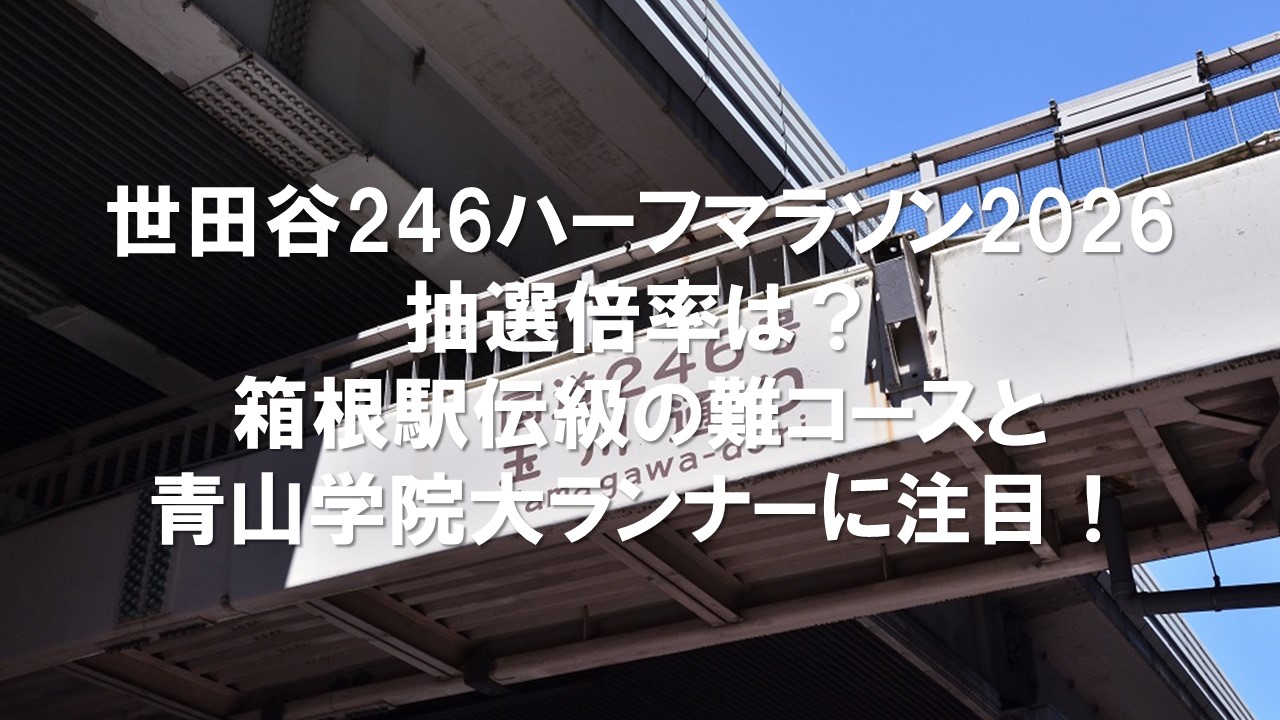 世田谷246ハーフマラソン2026の抽選倍率は？箱根駅伝級の難コースと青山学院大ランナーに注目！