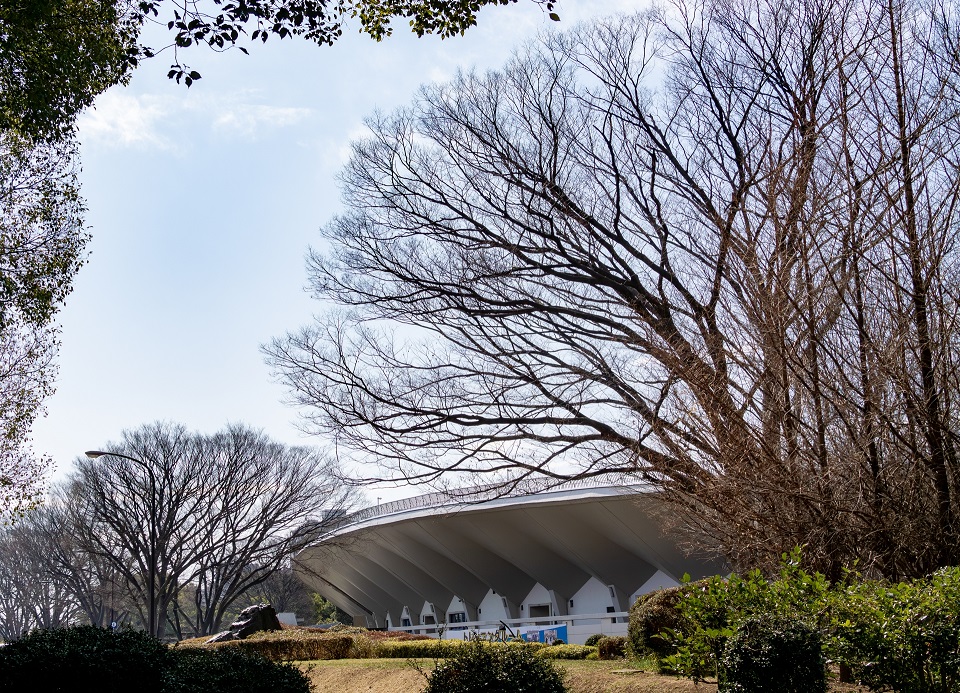 世田谷246ハーフマラソン2026の発着点となる駒沢オリンピック公園陸上競技場
その他の行を表示する